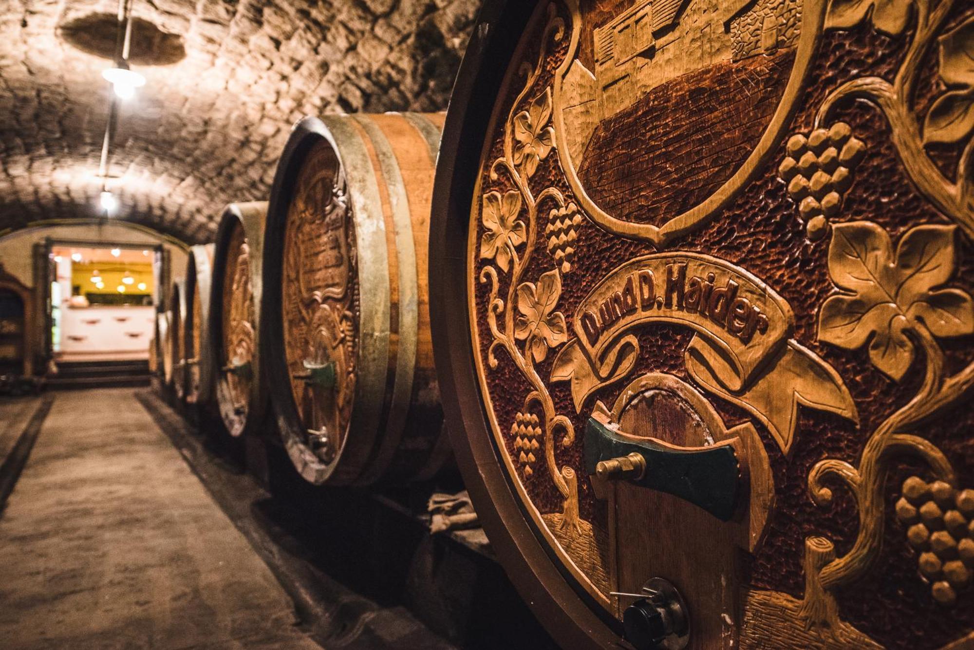 Weingut Gaestehaus D&D Haider Nyulas Kültér fotó