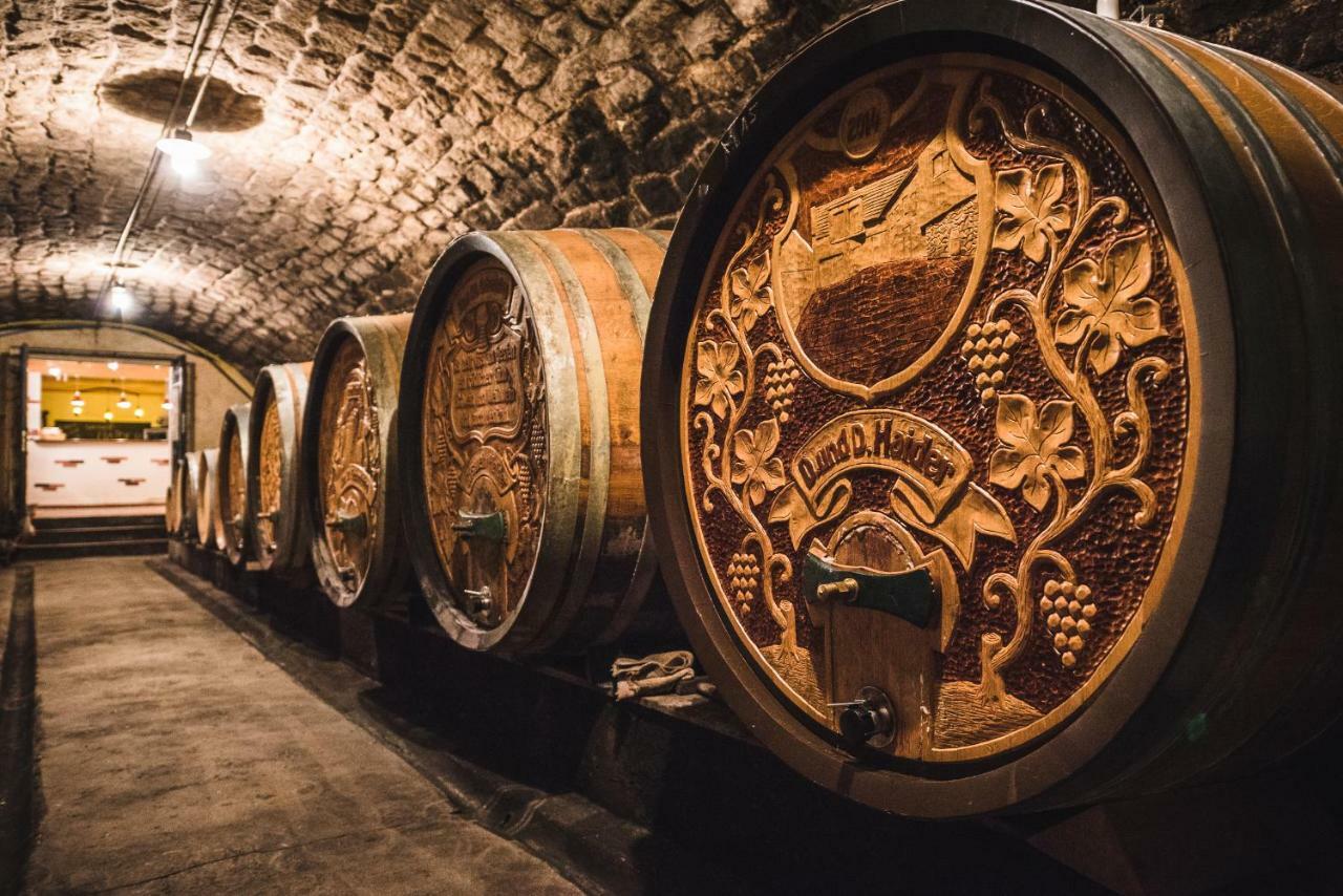 Weingut Gaestehaus D&D Haider Nyulas Kültér fotó