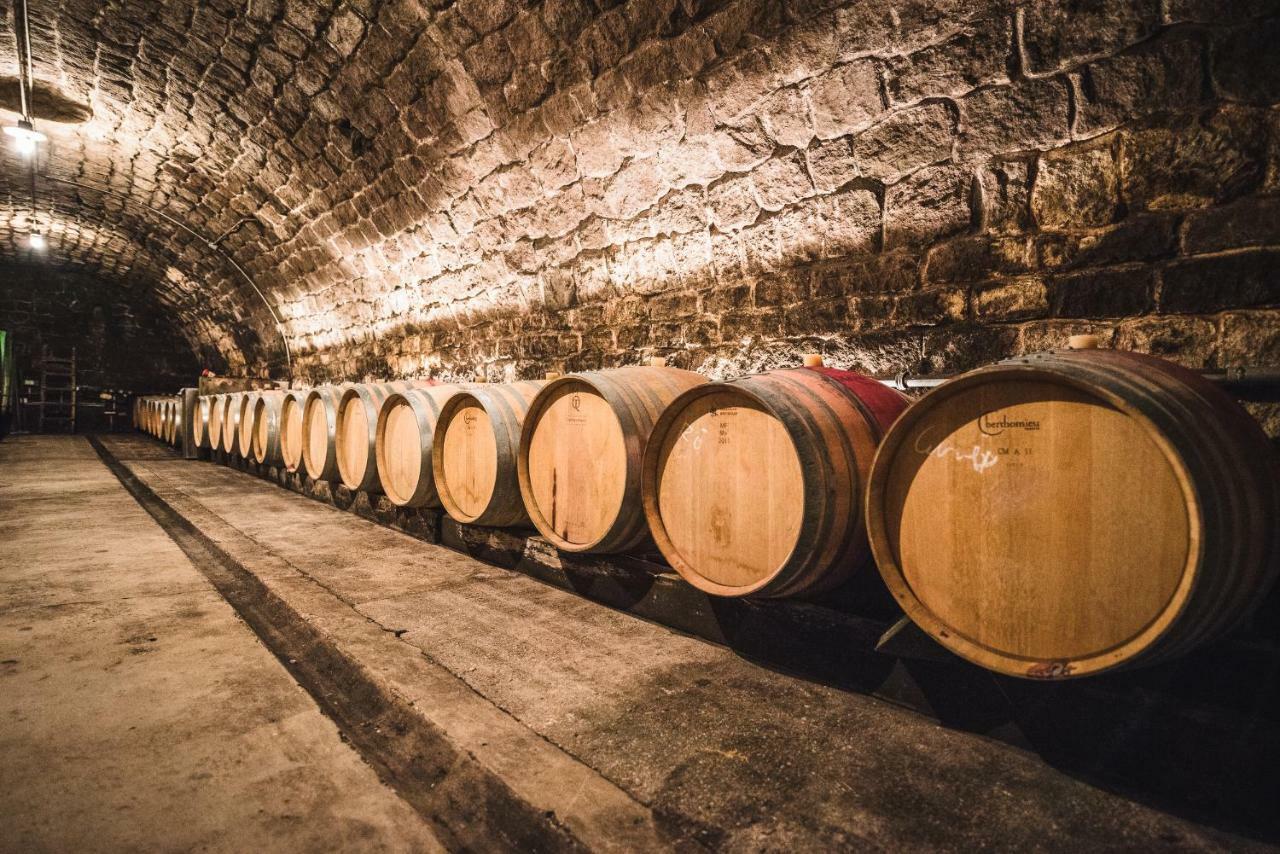 Weingut Gaestehaus D&D Haider Nyulas Kültér fotó
